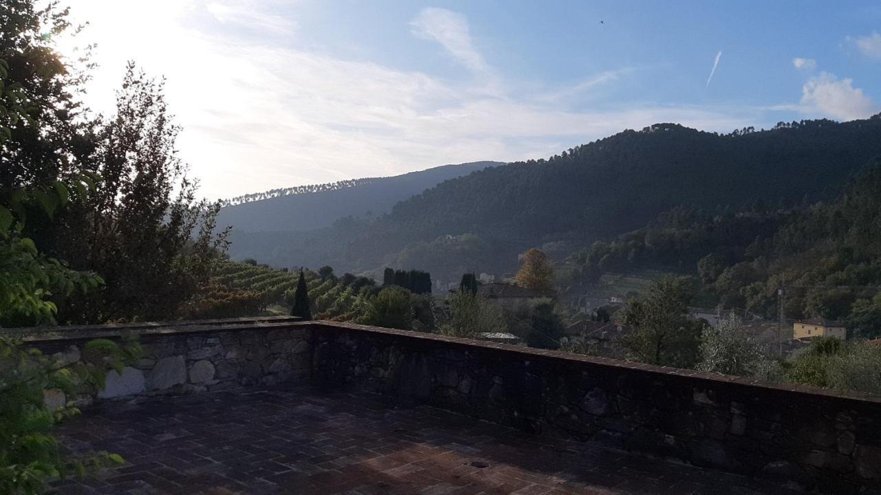 カパンノリ Agriturismo Alle Camelieヴィラ エクステリア 写真