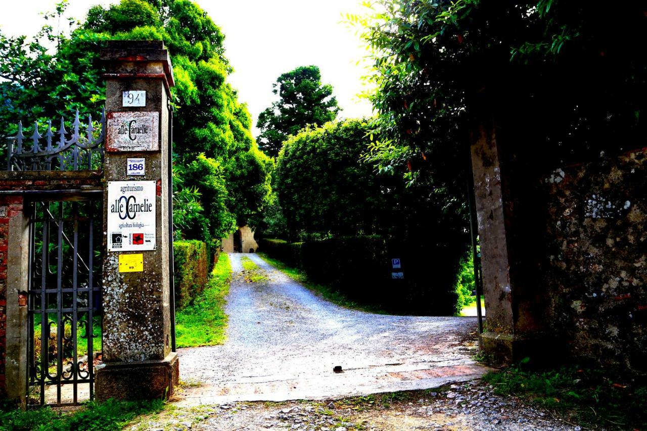 カパンノリ Agriturismo Alle Camelieヴィラ エクステリア 写真