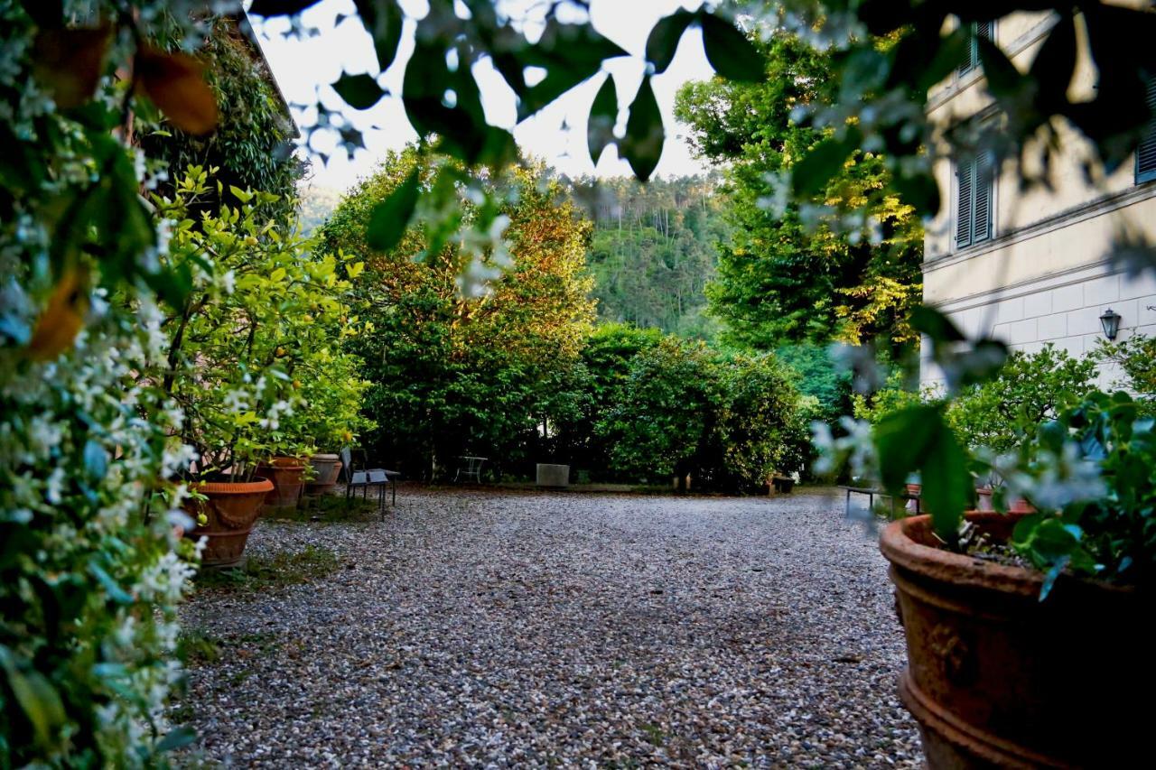 カパンノリ Agriturismo Alle Camelieヴィラ エクステリア 写真